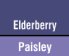 Elderberry/Paisley